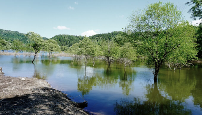 山形県の激ヤバ心霊スポット18選！危険な心霊現象や廃墟はどこ？